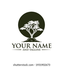 Eichenbaum-Logo-Illustration. Vektorsilhouette eines Baumes.