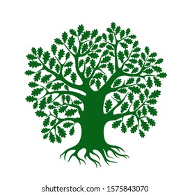 Oak tree logo. Isolated oak tree on white background