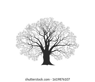 Oak tree logo. Isolated oak tree on white background