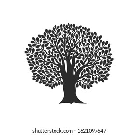 Oak tree logo. Isolated oak tree on white background