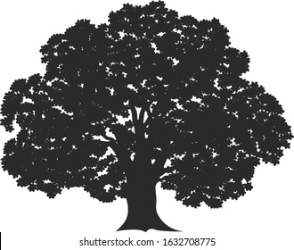 Oak tree logo. Isolated oak tree on white background