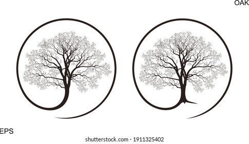 Oak tree logo. Isolated oak tree on white background