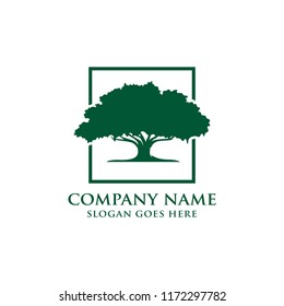 Plantilla de logotipo de árbol de roble