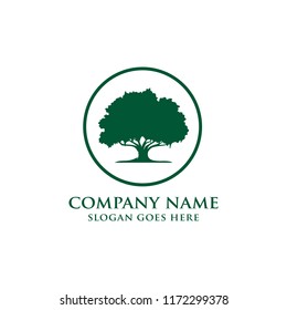 Oak Tree Logo Template Stock Vector (Royalty Free) 1172299378 ...