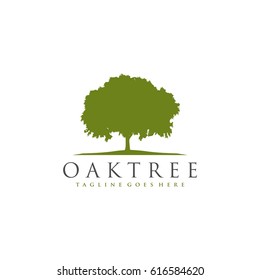 Oak Tree Logo Template