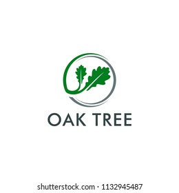 oak tree logo template vector illustration