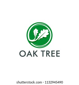 oak tree logo template vector illustration