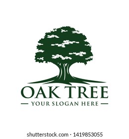 Oak Tree Logo Template Vector Stock Vector (Royalty Free) 1419871871 ...