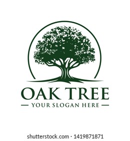 Oak tree logo template vector