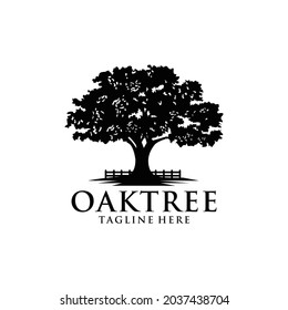 Oak tree logo template vector design