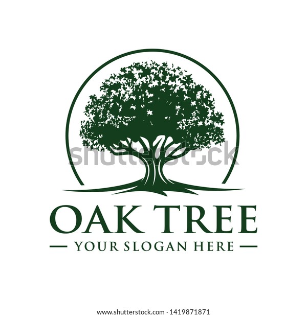 Oak tree logo template
vector