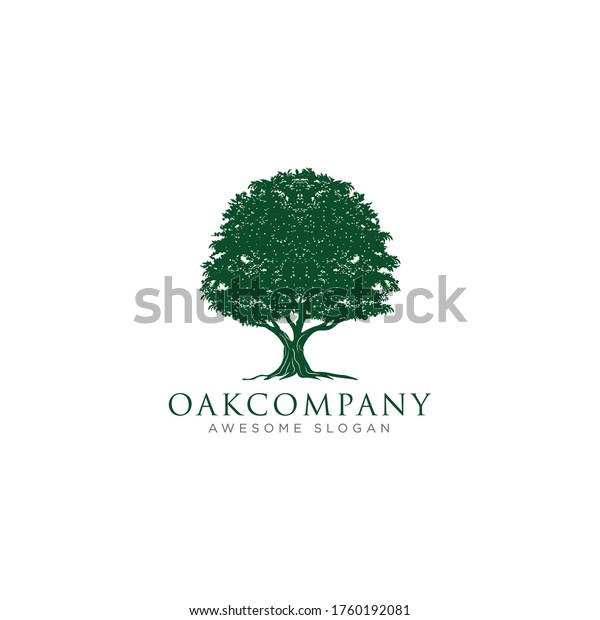 Oak Tree Logo Template\
Vector