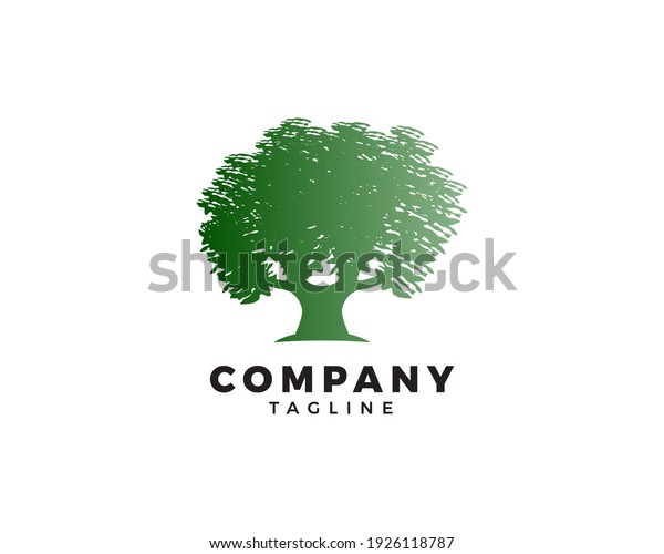 Oak tree logo template\
vector