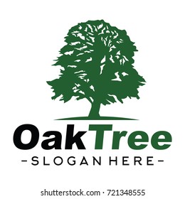 Oak Tree Logo Vector