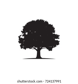 Oak Tree Logo Vector