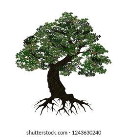 oak tree logo vector illustration, tree that is very sturdy and strong and realistics