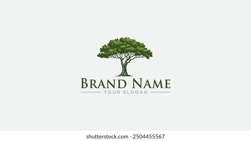Oak tree logo vector illustration