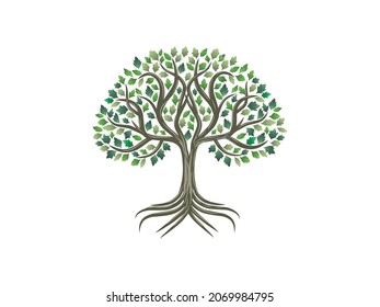 oak tree logo vector isolated