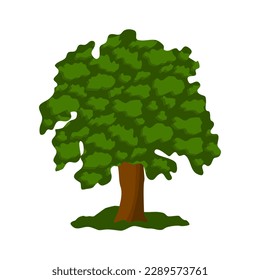 Oak tree with lush crown, flat style vector