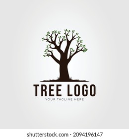 oak tree or nature plant logo vector illustration design