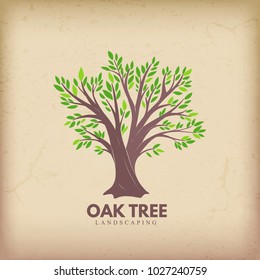 Oak tree. Nature. Vector silhouette illustration Organic food