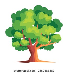 oak tree on white background isolated icon