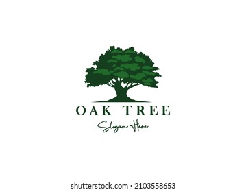 Oak Tree Residential Vintage Logo Design Vector