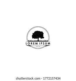 oak tree retro vintage for business logo template