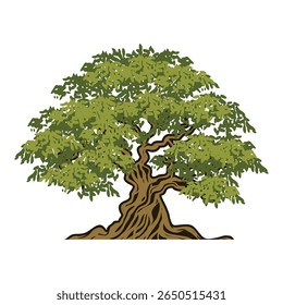 Oak Tree root. Tree Leaf Family Oak Banyan Maple vintage style Stamp Emblem Label Vector design