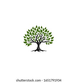 Oak Tree Root Logo Template Stock Vector (Royalty Free) 1651791934 ...