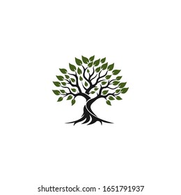 oak tree with root logo template 