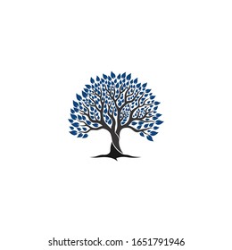oak tree with root logo template 