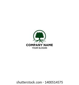 oak tree with roots logo design vector