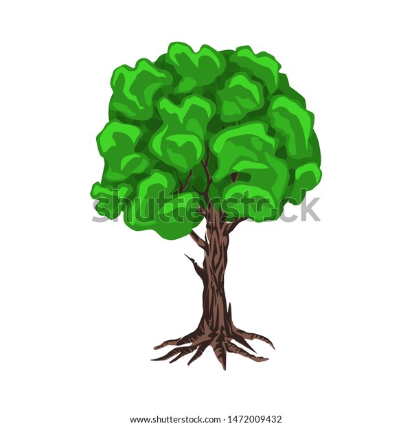 Oak Tree Roots Vector Isolated Hand Stock Vector Royalty Free