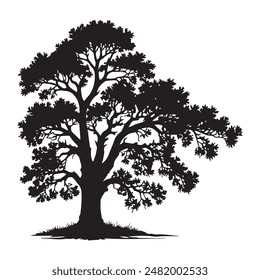 Conjunto de árbol de roble silueta negra arte de Clip de Vector