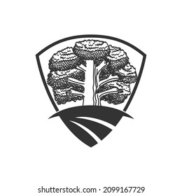 Oak tree shield farm Icon Illustration Brand Identity