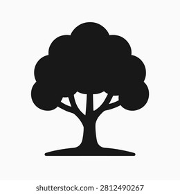 Oak Tree Silhouette Foliage Nature Botanical Garden Landscape
