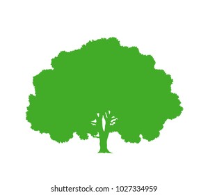 Oak tree silhouette. Isolated  oak tree on white background