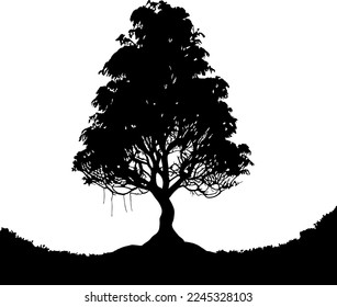 an oak tree silhouette isolated on a white background