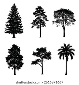 oak tree silhouette isolated on white