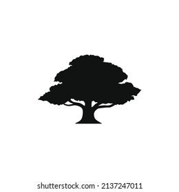 diseño vectorial de silueta de árbol de roble para icono de logotipo