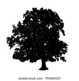 Oak tree silhouette, vector illustration isolated on white