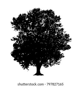 Oak tree silhouette, vector illustration isolated on white 