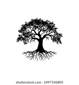oak tree silhouette vector illustrations. black oak tree isolated on white background