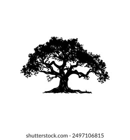 oak tree silhouette vector illustrations. black oak tree isolated on white background