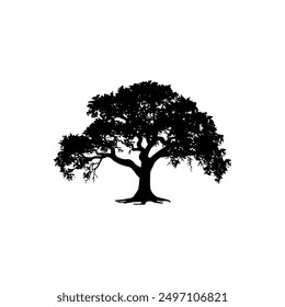 Eichenbaum Silhouette Vektorgrafiken. schwarze Eiche einzeln auf weißem Hintergrund