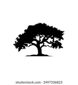 oak tree silhouette vector illustrations. black oak tree isolated on white background