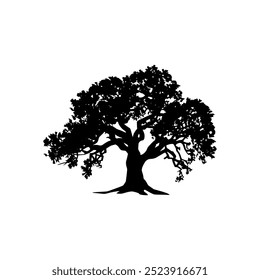 oak tree silhouette vector illustrations. black oak tree isolated on white background