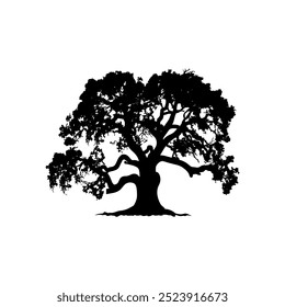 oak tree silhouette vector illustrations. black oak tree isolated on white background