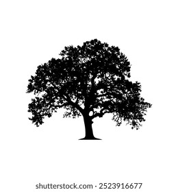 oak tree silhouette vector illustrations. black oak tree isolated on white background